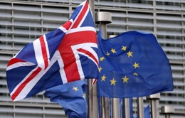 Anh và EU xác định những điểm mấu chốt trong đàm phán Brexit