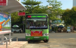 TP.HCM: Thu hút học sinh đi xe bus - Khó mà dễ!