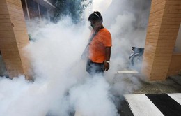 Thái Lan xác nhận 11 ca nhiễm Zika mới