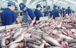 Khai mạc Hội chợ cá tra và thủy sản Việt Nam