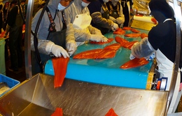Dịch vụ mổ cá thuê nở rộ ở Alaska