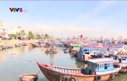 Khánh Hòa đầu tư, nâng cấp mở rộng các cảng cá