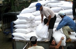 Phú Yên: Sẽ cấp bổ sung gạo cứu trợ đủ theo số lượng quy định