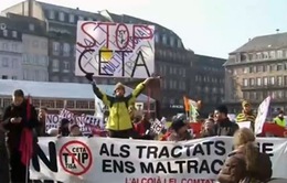 Hàng loạt cuộc biểu tình phản đối Nghị viện châu Âu thông qua CETA