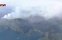 Cháy rừng dữ dội ở Đông Bắc Nhật Bản