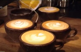 Những chiếc cốc làm từ… bã cà phê