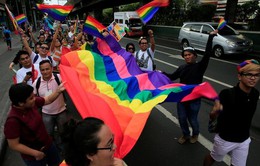 Hàng nghìn người diễu hành ủng hộ cộng đồng LGBT tại Mỹ