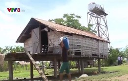 Hàng loạt công trình cấp nước sinh hoạt ở Gia Lai bị bỏ hoang