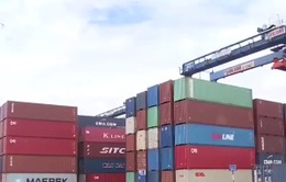 TP.HCM: Hàng nghìn container hàng của doanh nghiệp nhập khẩu đang ùn ứ tại cảng