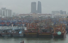 Ngư dân Đà Nẵng không chủ quan trước áp thấp nhiệt đới