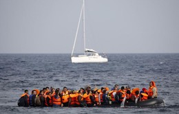 Cứu sống hơn 300 người di cư trên biển Địa Trung Hải