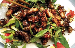 Những món ăn Việt ngon miệng nhưng tiềm ẩn nguy hiểm