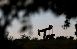 Các nhà khai thác dầu đá phiến Mỹ - “Kẻ phá bĩnh” OPEC