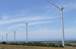 Các dự án điện gió tại Việt Nam vẫn ít
