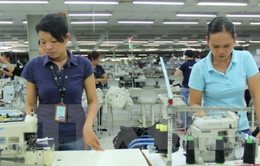 Khảo sát tình hình lao động của doanh nghiệp tại tỉnh Bình Dương