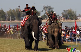 Đông đảo du khách đến xem lễ hội đua voi Tây Nguyên