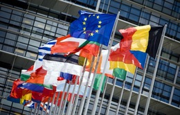 Nghị viện châu Âu thừa nhận 7 nước EU tiếp tay trốn thuế