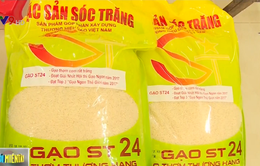 Gạo ST24 của Việt Nam lọt top 3 gạo ngon nhất thế giới năm 2017
