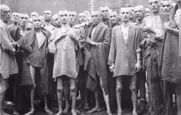 6 triệu người Do Thái thiệt mạng trong thảm họa diệt chủng của phát xít Đức