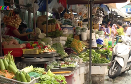 Giá rau xanh ở Hà Nội tăng gấp đôi do mưa lũ