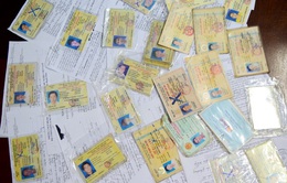 TP.HCM phát hiện hơn 160 giấy phép lái xe giả
