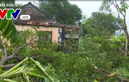Phú Yên: Một người bị thương, 7 căn nhà bị tốc mái do giông lốc