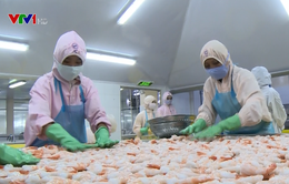 EU cảnh báo rút thẻ vàng với hải sản Việt Nam