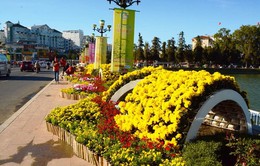 Đà Lạt xây dựng bãi xe phục vụ Festival Hoa