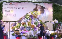 Việt Nam giới thiệu 200 giống hoa mới ra thế giới