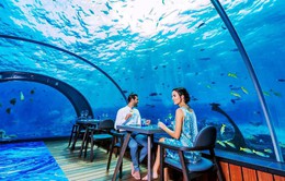 Khám phá nhà hàng dưới nước lớn nhất thế giới