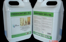Tác hại của thuốc diệt cỏ Paraquat