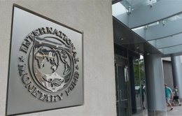 IMF công bố công cụ cứu trợ mới không dùng tiền
