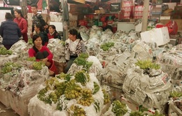 Chợ Long Biên tấp nập những ngày giáp Tết