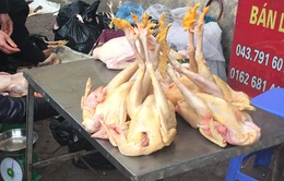 Người dân lo lắng dịch cúm A/H7N9: Những thực phẩm nào thay thế được thịt gà