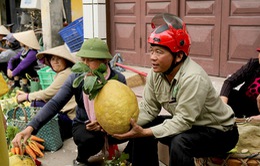 Tất bật chợ quê ngày cuối năm