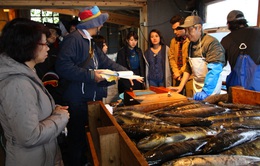 Sắc màu Nhật Bản mùa 2 - Tập 5: Khám phá cách chế biến cá hồi vùng Niigata