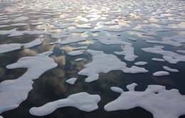 Bắc Cực: Tốc độ tăng nhiệt nhanh gấp 2 lần khu vực khác