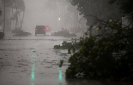 Bão Irma gây thiệt hại hàng trăm tỷ USD cho nước Mỹ