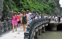 Ngành du lịch Việt Nam đặt mục tiêu đón 18 triệu khách quốc tế năm 2019