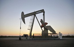 Mỹ lên kế hoạch bán một nửa kho dự trữ dầu trong 10 năm
