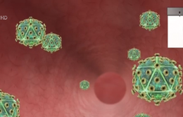 Mỹ: Phát hiện kháng thể vô hiệu hóa được 99% chủng virus HIV