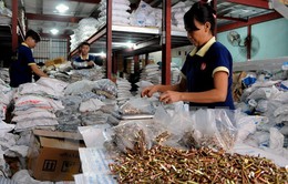 Việt Nam chuẩn bị đón “làn sóng” đầu tư từ châu Âu nhờ EVFTA
