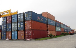 Tạm giữ 10 container hàng "nhái" tại cảng Hải Phòng