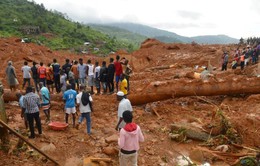 Nguy cơ khủng hoảng nhân đạo ở Sierra Leone