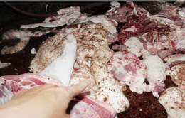Bắt quả tang cơ sở giết mổ lợn bệnh ở Đồng Nai