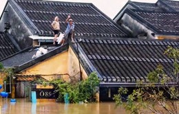 EU chia sẻ với Việt Nam về những tổn thất của bão Damrey