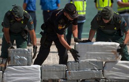 Tây Ban Nha bắt giữ lượng ma túy lớn nhất trong 18 năm