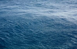 Bình Thuận: Khẩn trương tìm kiếm thuyền viên mất tích trên biển