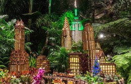 Ấn tượng "Holiday Train Show 2017" chào đón Giáng Sinh tại Mỹ