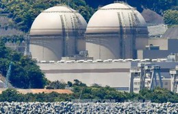 Nhật Bản chuẩn bị tái khởi động 2 lò phản ứng hạt nhân